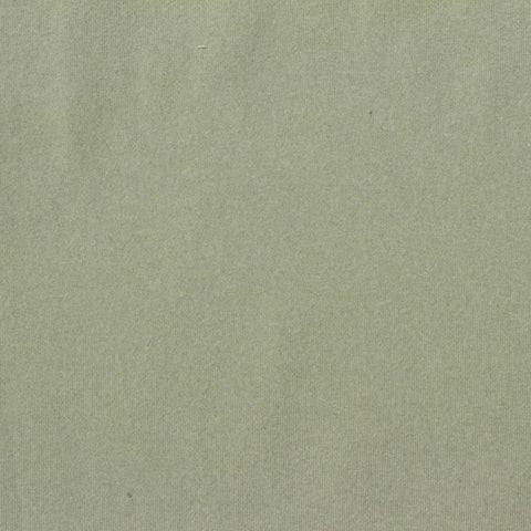 Brushed Polyester Stretch Jersey Knit Fabric, 200 gsm, 160 cm — Green