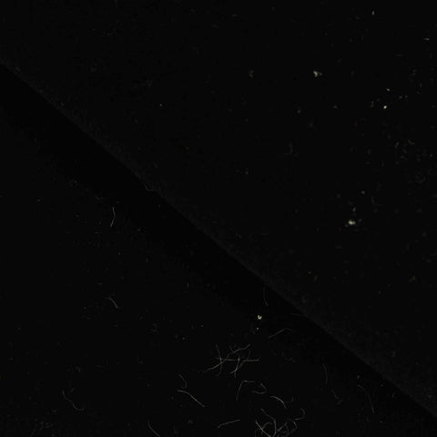 Black Brushed Velvet, Polyester