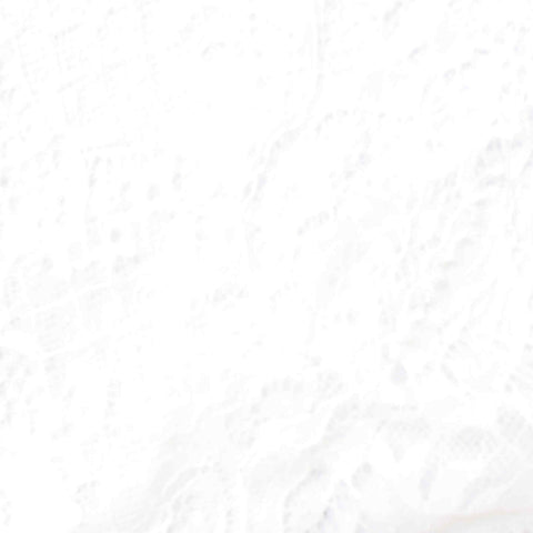 White Tone-on-Tone Floral Lace, Nylon, 78 gsm