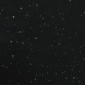 Black Glitter Jersey Knit, Cotton, 175 gsm