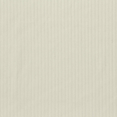 Brushed Polyester Stretch Rib Knit Fabric, 185 gsm, 150 cm — Beige