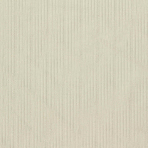 Polyester Stretch Rib Knit Fabric, 250 gsm — Beige