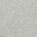 100% Nylon Lace Fabric, 50 gsm, 150 cm — White