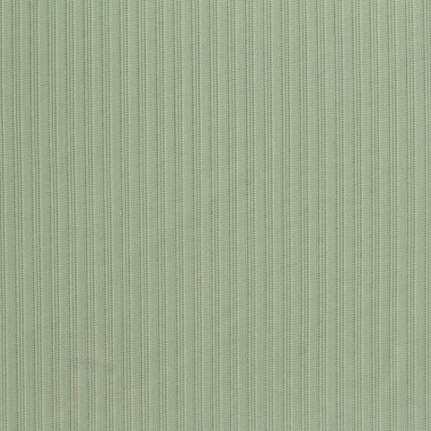 Green Vertical-Stripe Warp Knit, Nylon