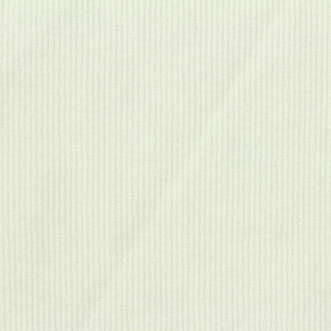 Polyester Cotton Stretch Rib Knit Fabric, 400 gsm, 125 cm — Beige