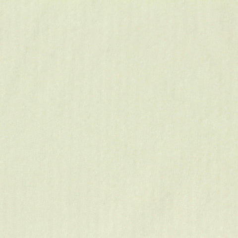Polyester Stretch Warp Knit Fabric, 200 gsm, 162 cm — Khaki