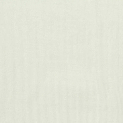 Cotton Stretch Rib Knit Fabric, 215 gsm, 165 cm — White