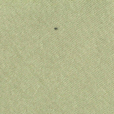 Sage Rib Knit, Cotton