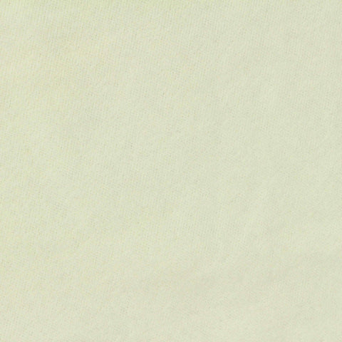 Brushed Cotton Polyester French Terry Fabric, 225 gsm — Green