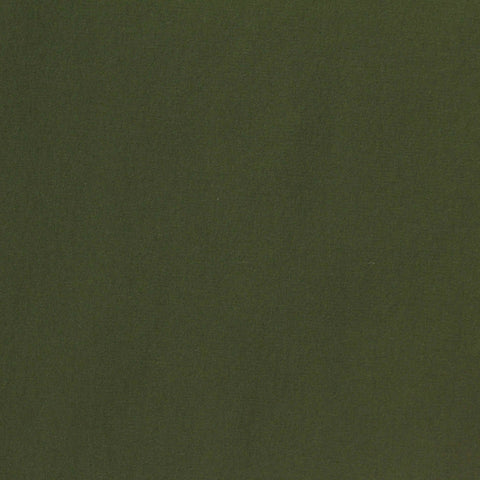 Nylon Stretch Woven Fabric, 150 gsm, 145 cm — Green, ref EF-271996