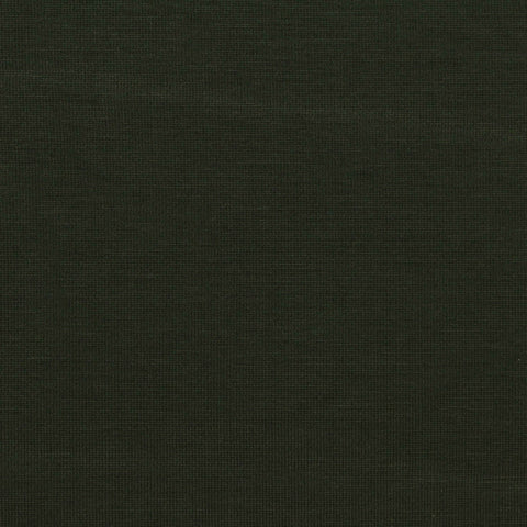 Tencel Lyocell Stretch Jersey Knit Fabric, 250 gsm, 155 cm — Green, ref EF-274356