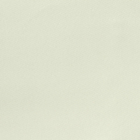 Cotton Stretch Velvet Fabric, 300 gsm