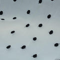Black Dots Woven