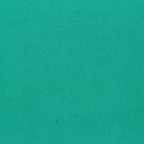 Viscose Nylon Stretch Ponte Knit Fabric, 400 gsm, 160 cm — Green, ref EF-240616