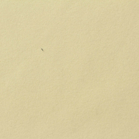 Polyester Stretch Velvet Fabric, 260 gsm, 188 cm — Beige