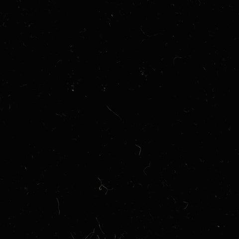 Black Brushed Velvet, Polyester