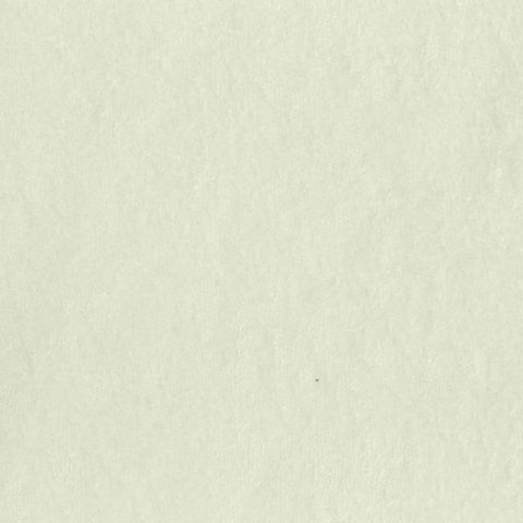 Cotton Polyester French Terry Fabric, 200 gsm, 150 cm — Khaki