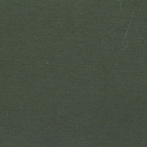 Polyester Viscose Stretch Knit Fabric, 450 gsm — Green
