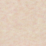 Polyester Stretch Knit Fabric, 230 gsm, 185 cm — Beige — photo 2