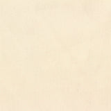 Brushed Polyester Stretch Milk Silk Knit Fabric, 180 gsm, 165 cm — Beige — photo 2