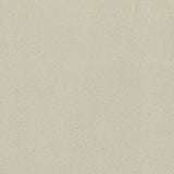 100% Polyester Woven Fabric, 184 gsm, 145 cm — Beige — texture