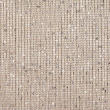 Silver Sequins Knit, Polyester — texture