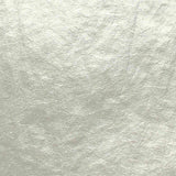 100% Nylon Plissé Fabric, 146 cm — Grey, ref EF-203897 — texture
