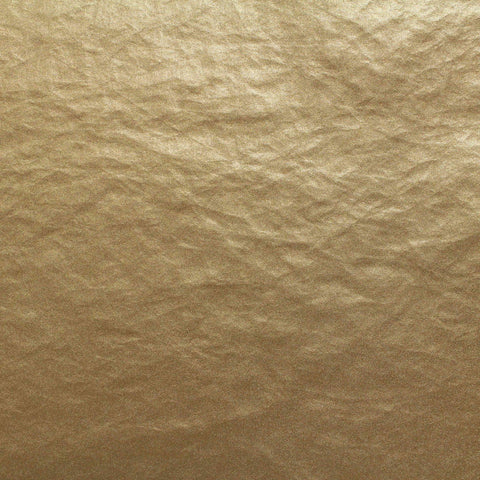 100% Nylon Woven Fabric, 146 cm — Brown, ref EF-203905