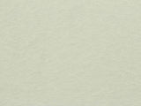 100% Polyester Knit Fabric, 110 gsm, 160 cm — White