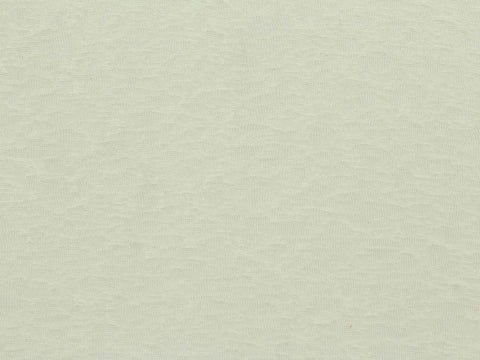 100% Polyester Knit Fabric, 110 gsm, 160 cm — White