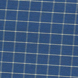 Blue Check Poplin, Cotton — texture
