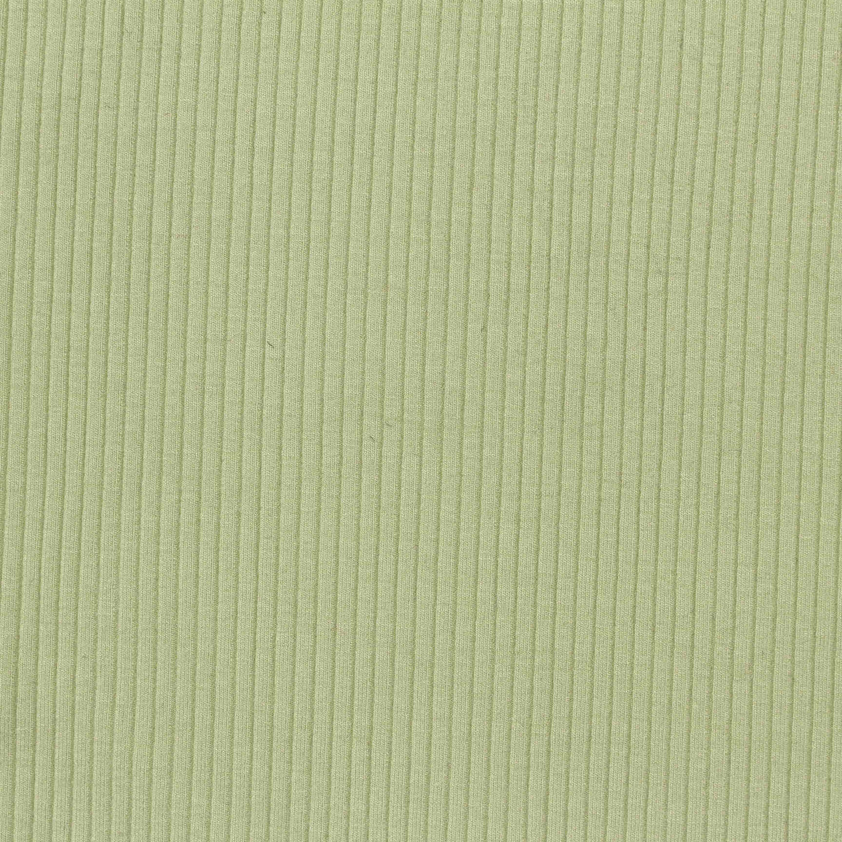 Viscose Stretch Rib Knit Fabric, 450 gsm — Green
