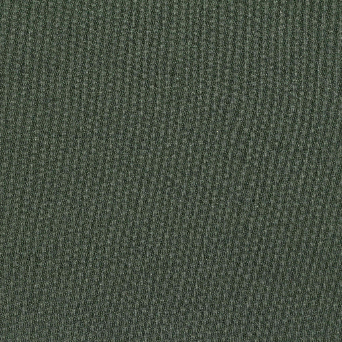 Polyester Viscose Stretch Knit Fabric, 450 gsm — Green