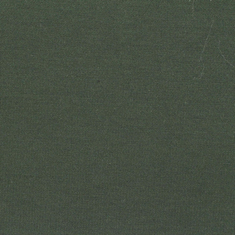 Polyester Viscose Stretch Knit Fabric, 450 gsm — Green