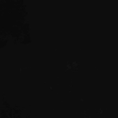 Polyester Stretch Velvet Fabric, 340 gsm, 160 cm — Black