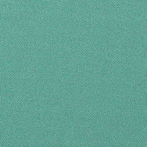 Polyester Stretch Jersey Knit Fabric, 235 gsm, 147 cm — Green, ref EF-212812