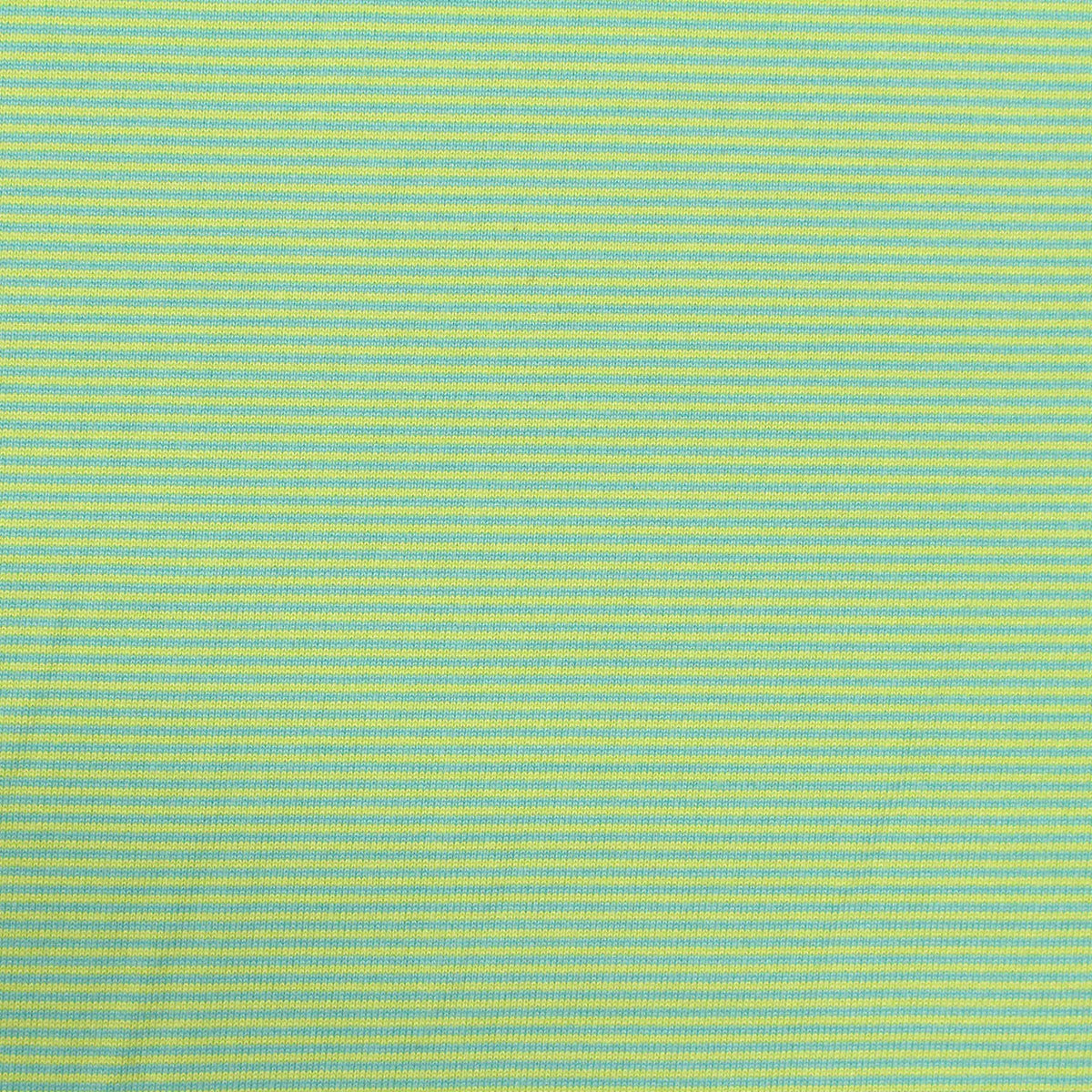 Light Green Horizontal-Stripe Jersey Knit, Polyester, 196 gsm