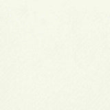 Polyester Stretch Woven Fabric, 259 gsm — Beige — texture