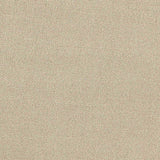 Polyester Viscose Stretch Woven Fabric, 300 gsm — Beige — texture