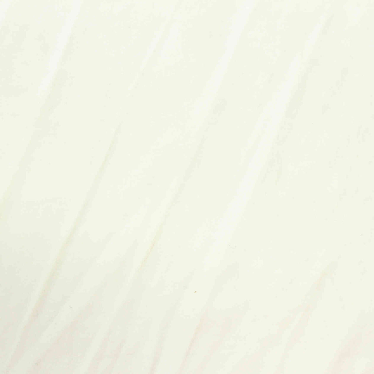 Cotton Jersey Knit Fabric, 182 gsm, 160 cm — White