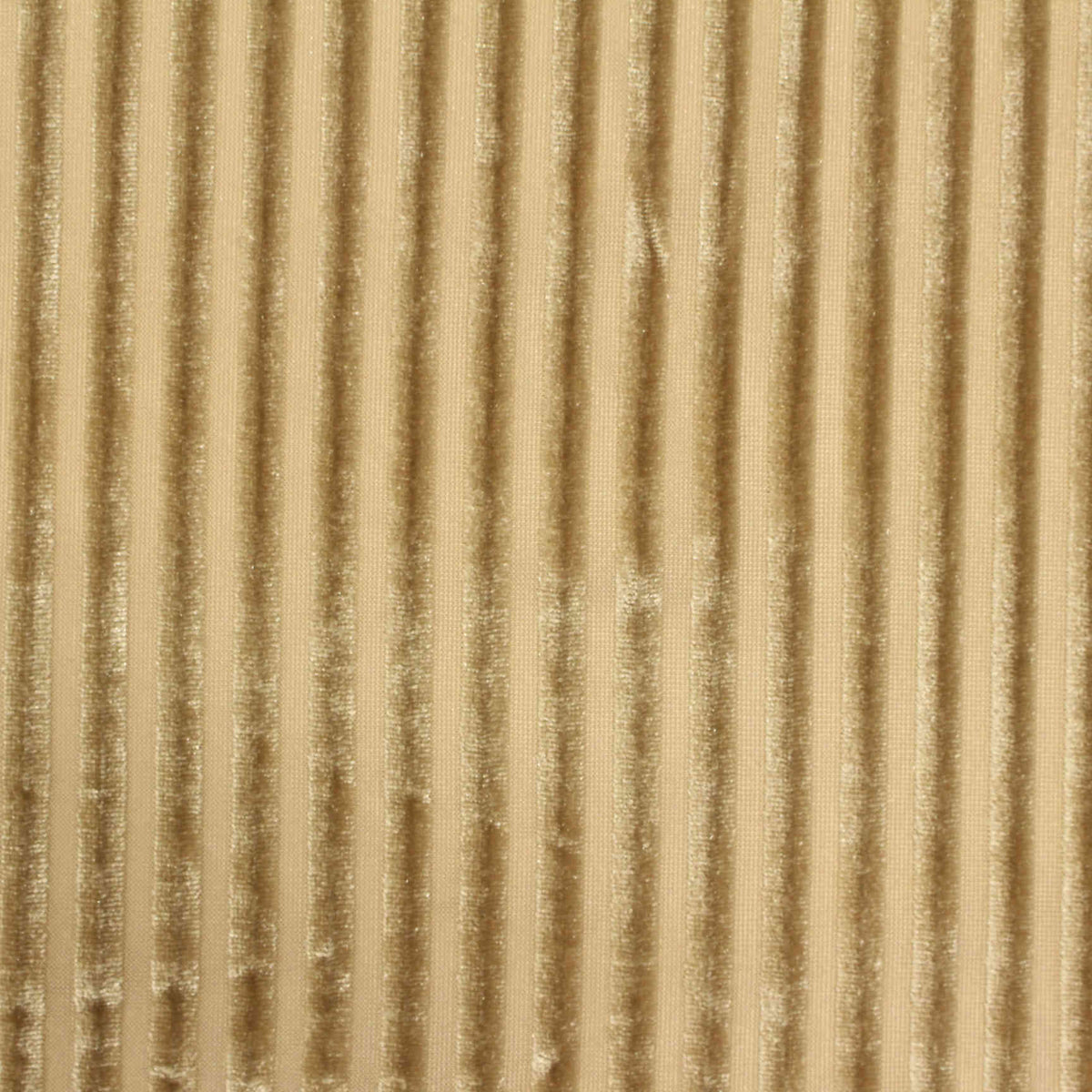 Polyester Stretch Velvet Fabric, 221 gsm — Khaki