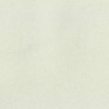 Brushed Cotton Polyester French Terry Fabric, 266 gsm, 170 cm — White