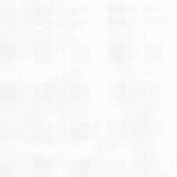 Plaid 100% Polyester Chiffon Fabric, 107 gsm, 145 cm — White — texture