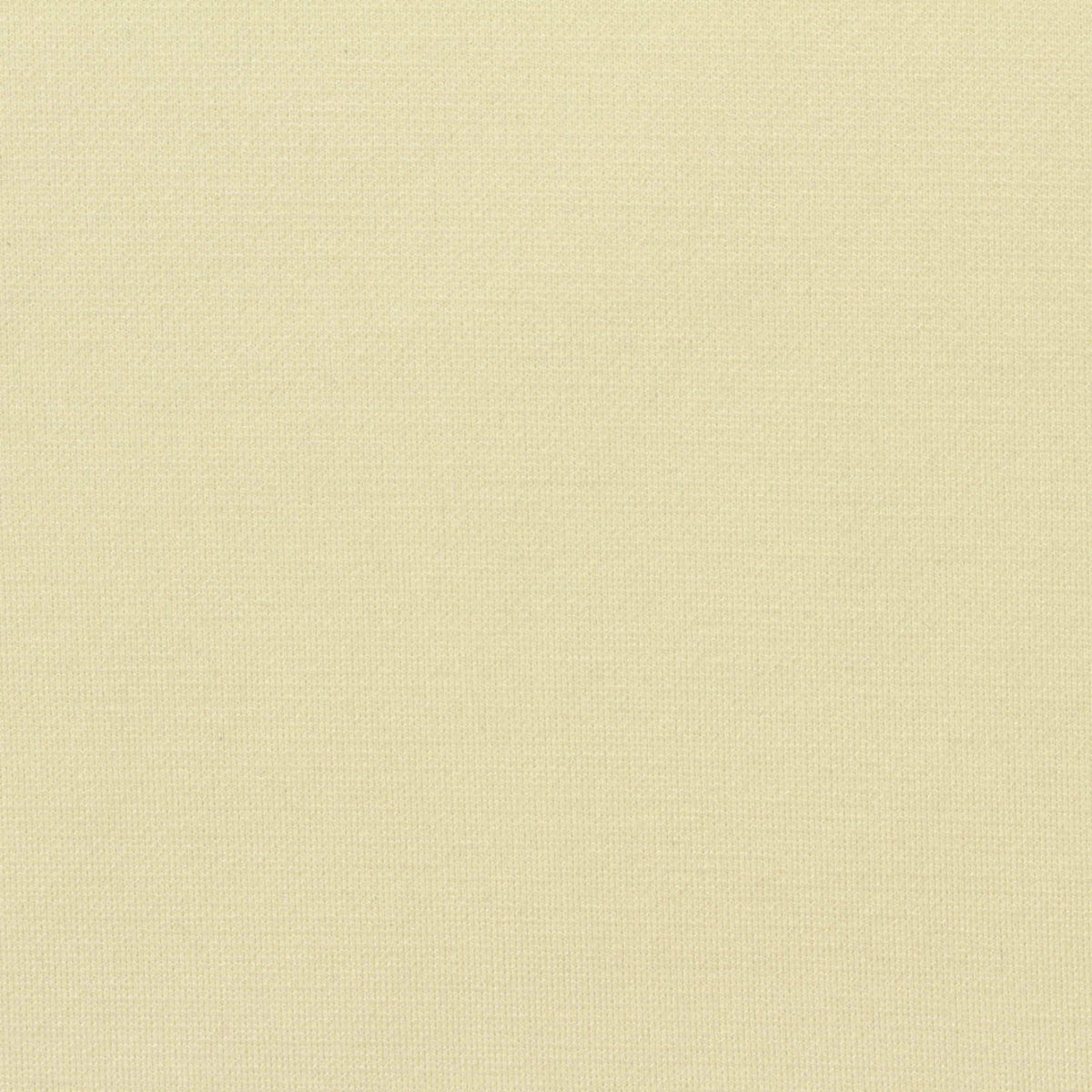 Viscose Nylon Stretch Knit Fabric, 300 gsm, 160 cm — Beige