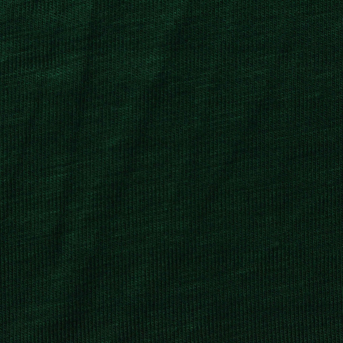 Viscose Stretch Jersey Knit Fabric, 155 gsm, 175 cm — Green
