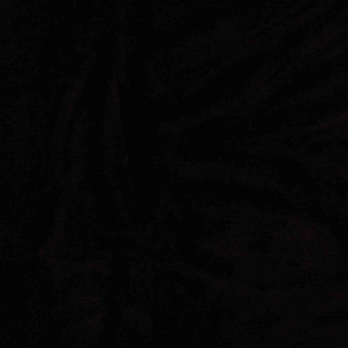 Polyester Stretch Warp Knit Fabric, 230 gsm, 185 cm — Black