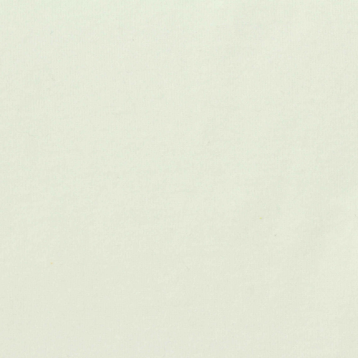 Brushed Polyester Cotton Stretch Rib Knit Fabric, 340 gsm, 175 cm — Beige