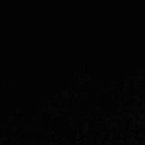 Polyester Stretch Velvet Fabric, 307 gsm, 160 cm — Black