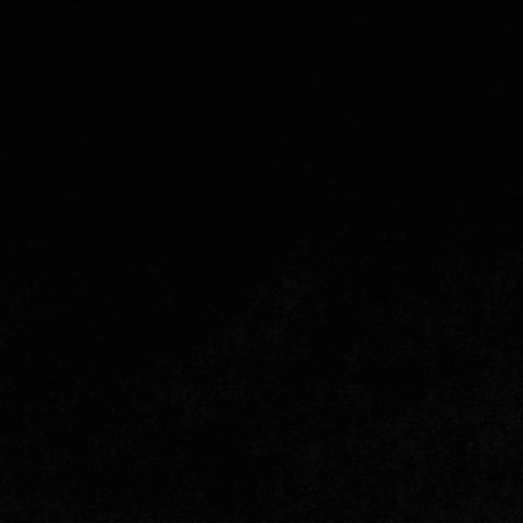 Polyester Stretch Velvet Fabric, 307 gsm, 160 cm — Black