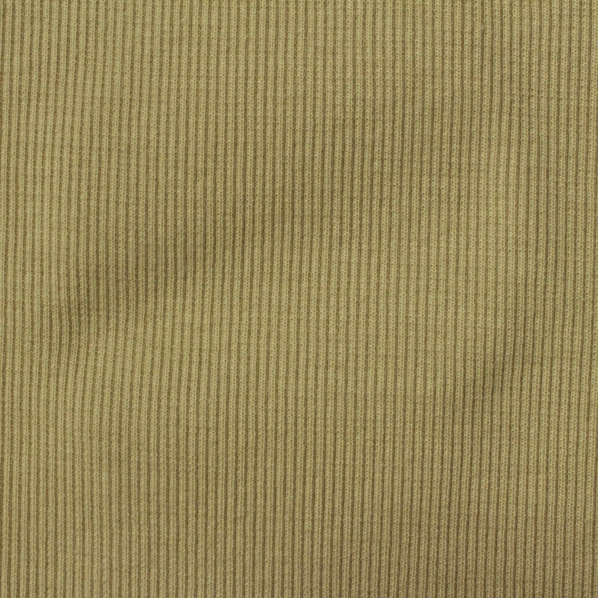 Polyester Stretch Rib Knit Fabric, 586 gsm, 105 cm — Khaki